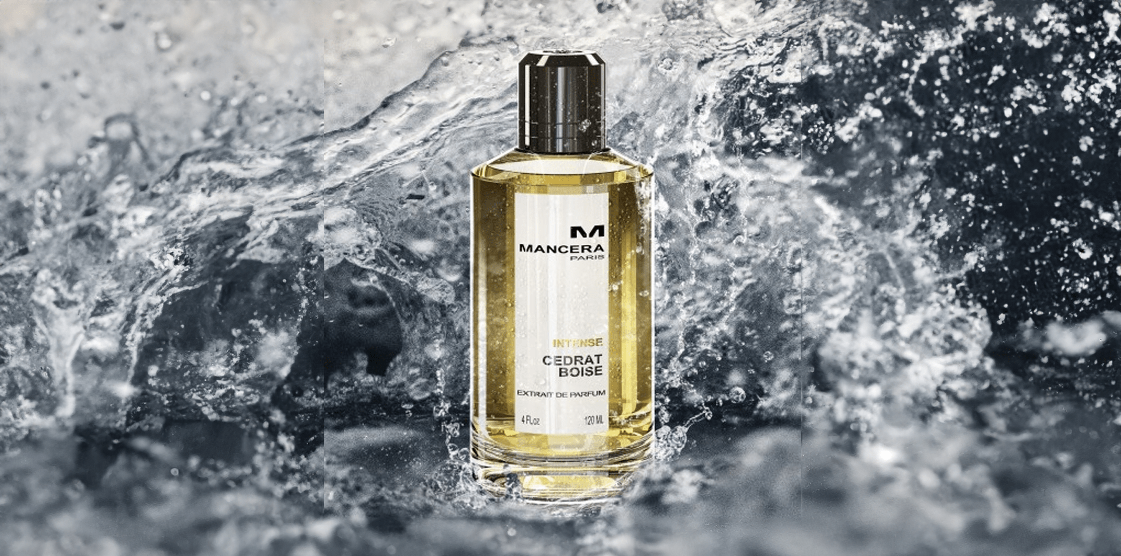 Mancera Intense Cedrat Boise Review: 2024's Best Scent? - My Perfume Shop