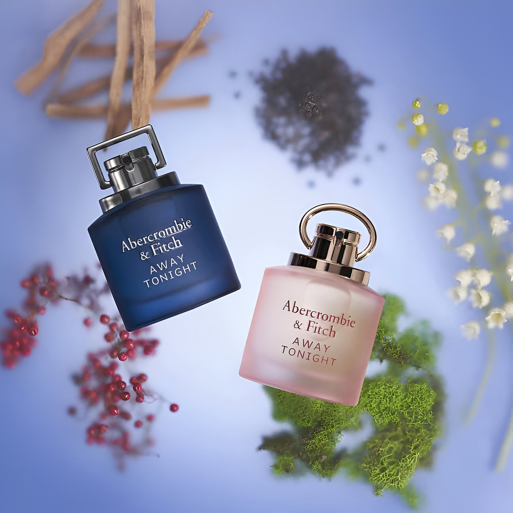 Abercrombie & Fitch Away Tonight EDT | My Perfume Shop