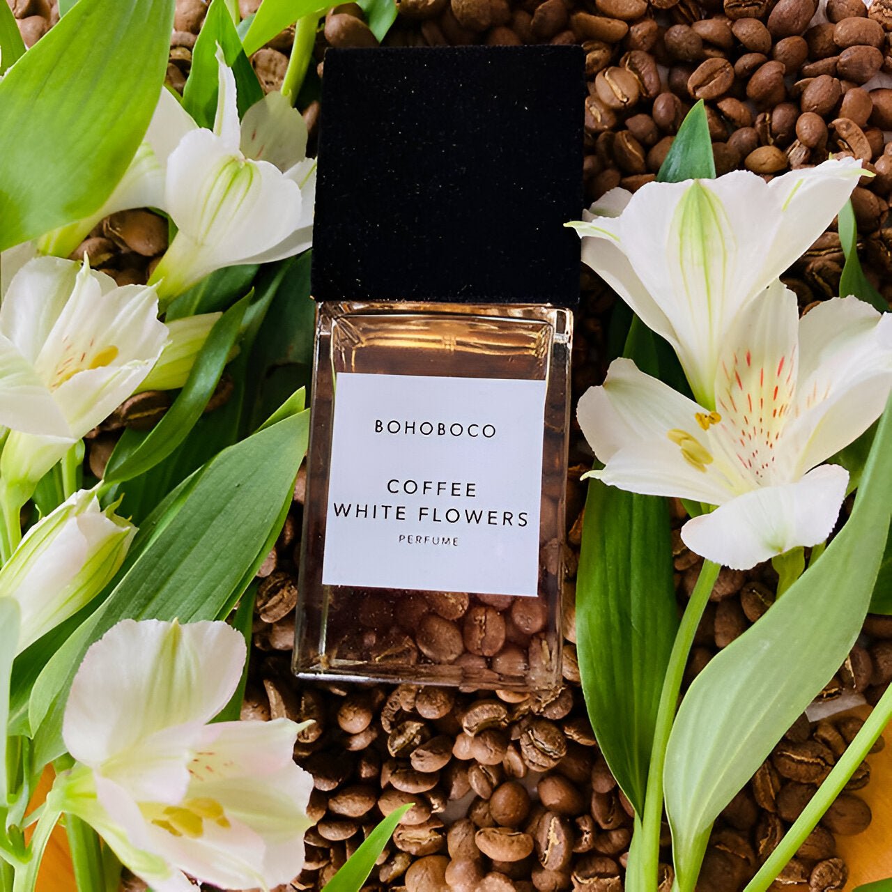 Bohoboco Coffee White Flowers Perfume | My Perfume Shop