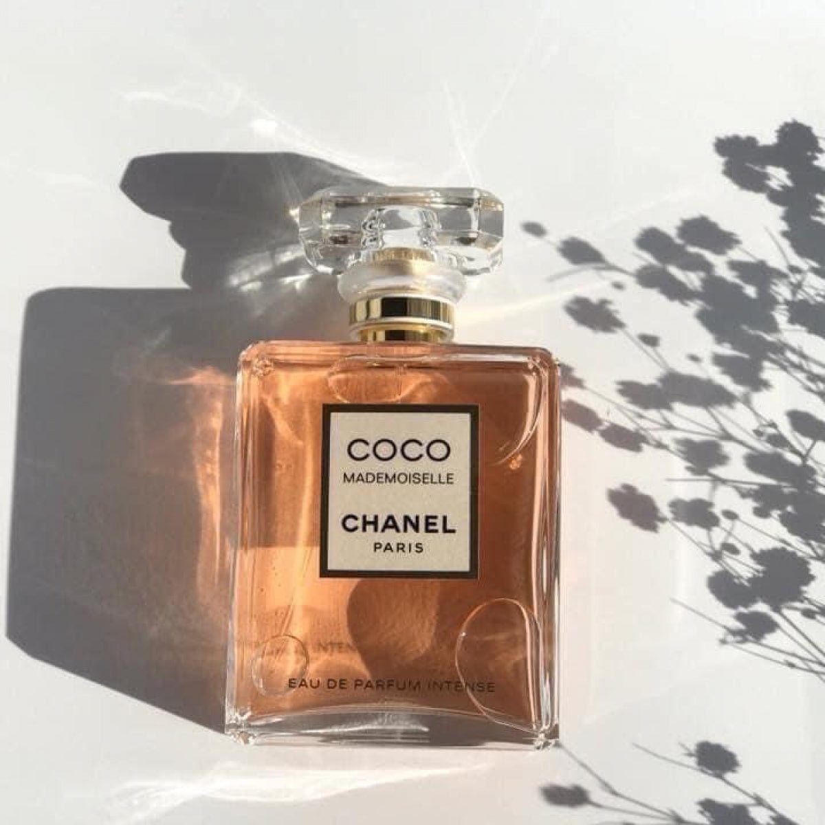 Chanel Coco Mademoiselle Intense EDP | My Perfume Shop