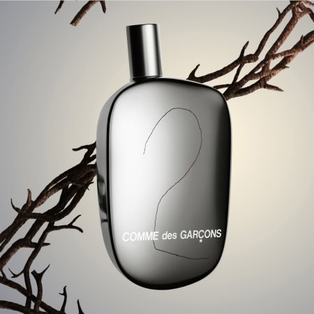 Comme Des Garcons 2 EDP | My Perfume Shop