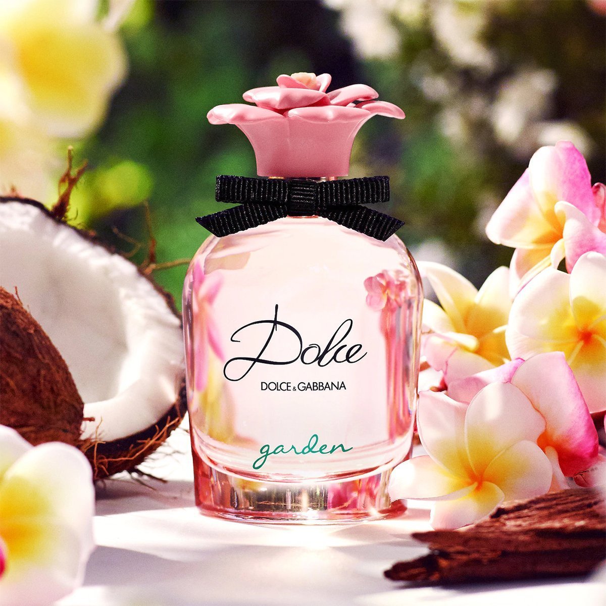 Dolce & Gabbana Mini Collection | My Perfume Shop