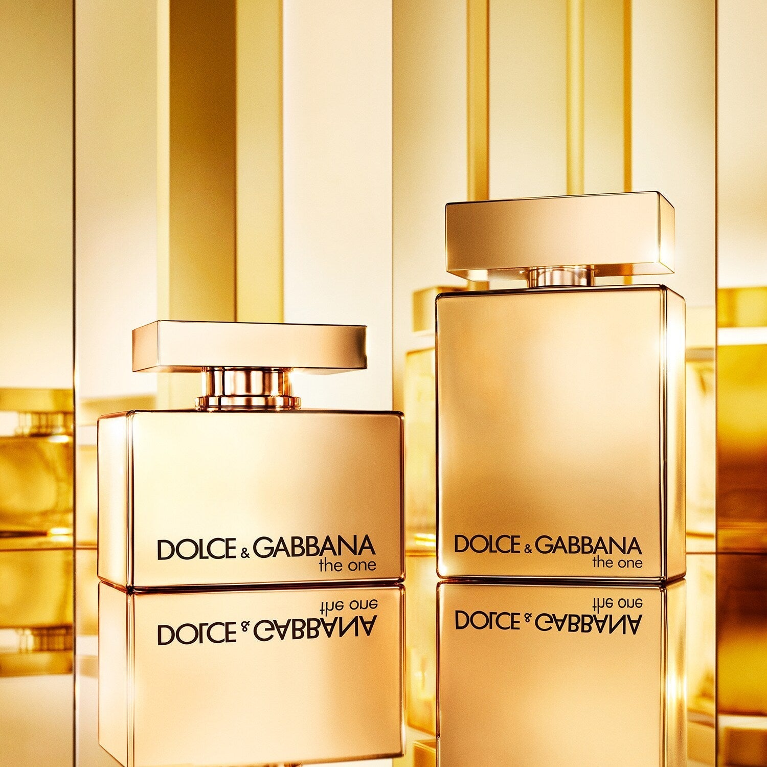 Dolce & Gabbana The One EDP For Women | My Perfume Shop