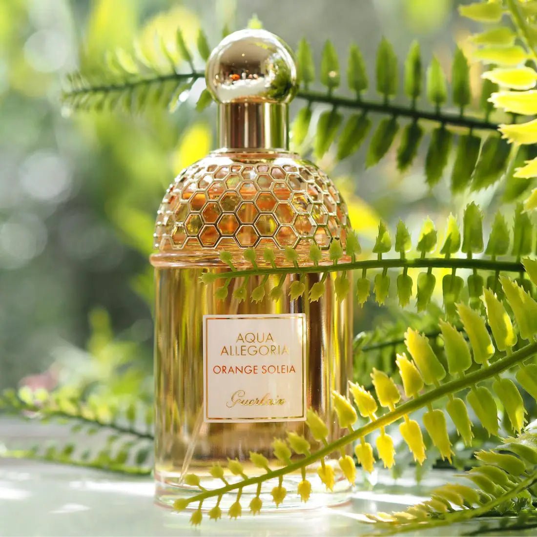 Guerlain Aqua Allegoria Orange Soleia EDT | My Perfume Shop