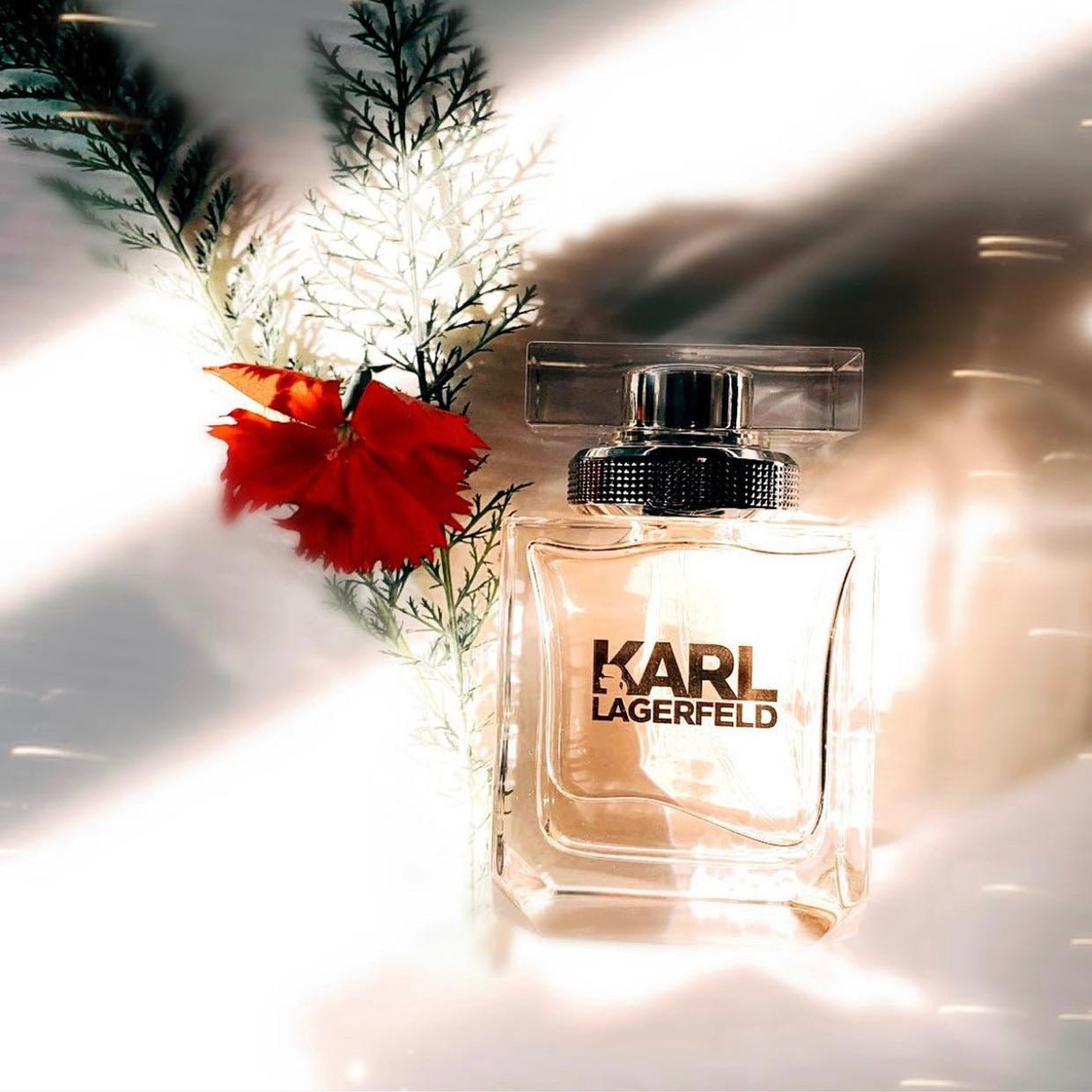 Karl Lagerfeld For Her EDP | My Perfume Shop