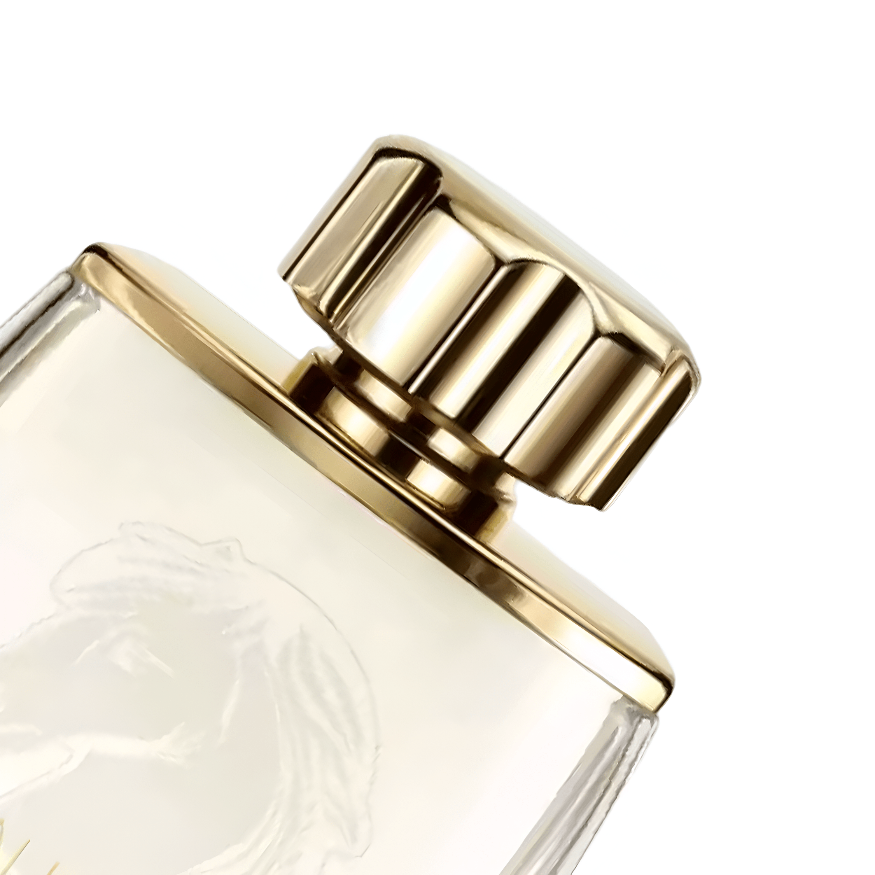 Lalique Equus Pour Homme EDP | My Perfume Shop