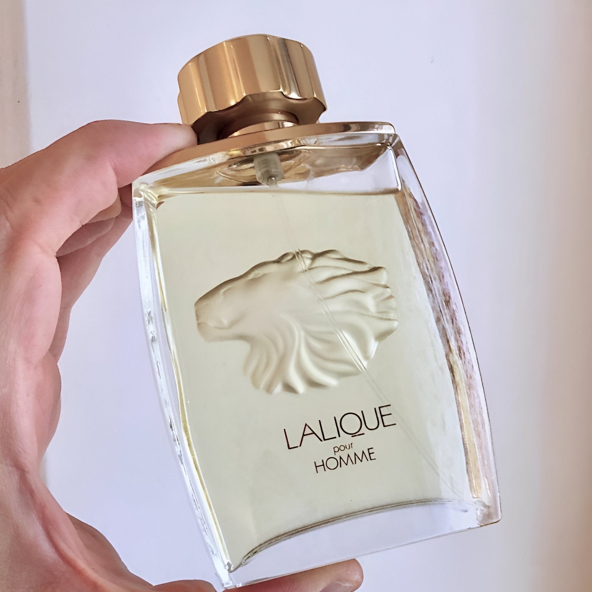 Lalique Pour Homme EDP | My Perfume Shop