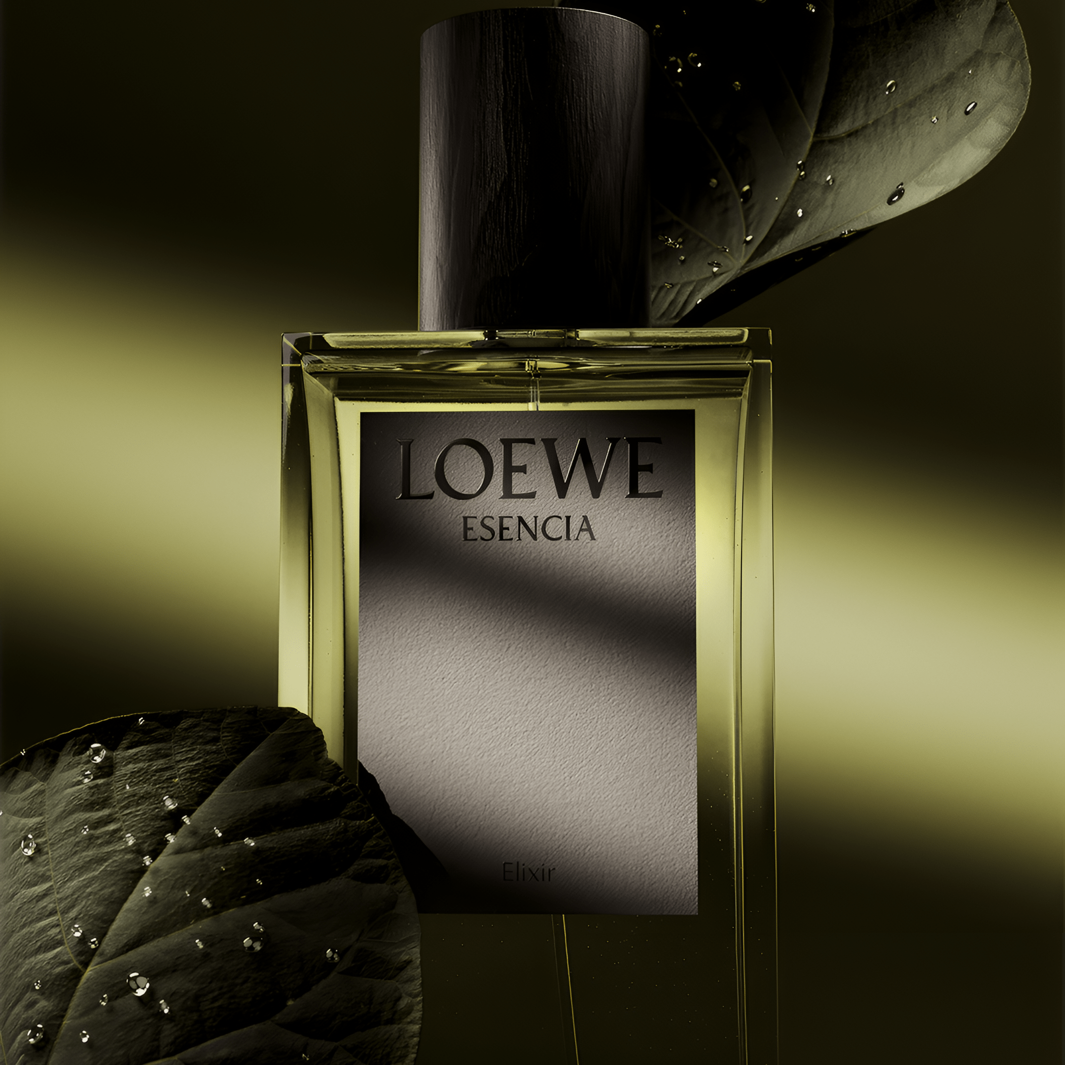 Loewe Esencia Dio Spray | My Perfume Shop