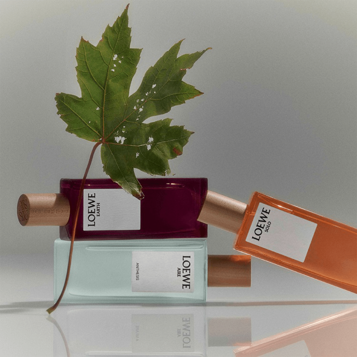 Loewe Solo Loewe EDT | My Perfume Shop