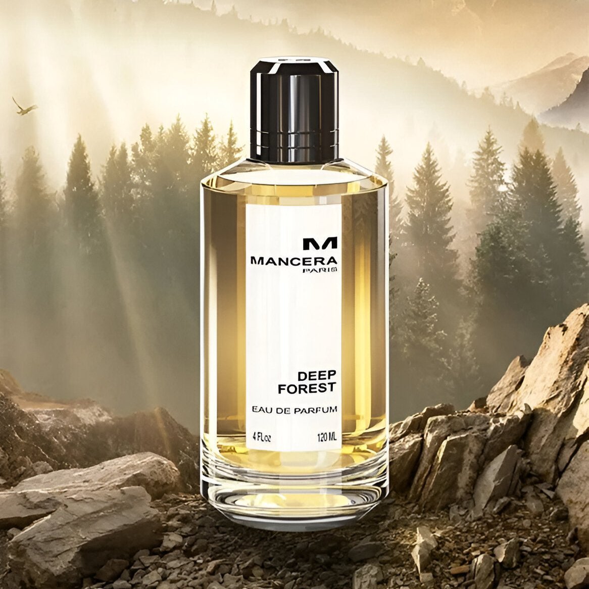 Mancera Deep Forest EDP | My Perfume Shop