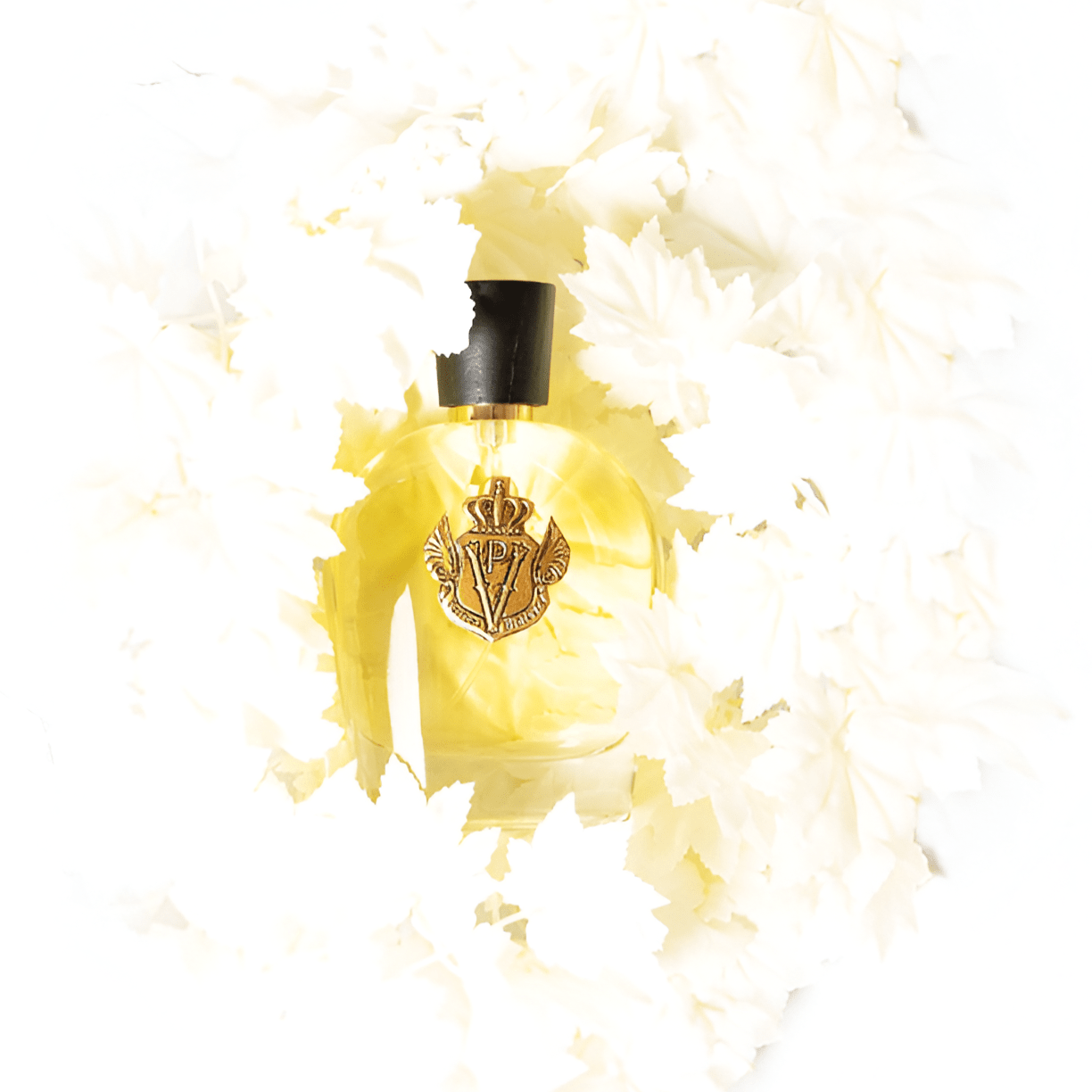 Pineapple Parfums Vintage Coeur De Cuir EDP | My Perfume Shop