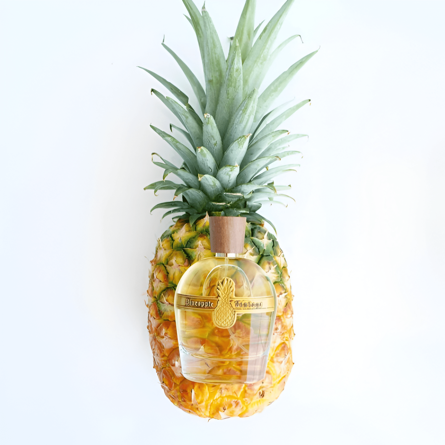 Pineapple Parfums Vintage Vanilla Intense EDP | My Perfume Shop