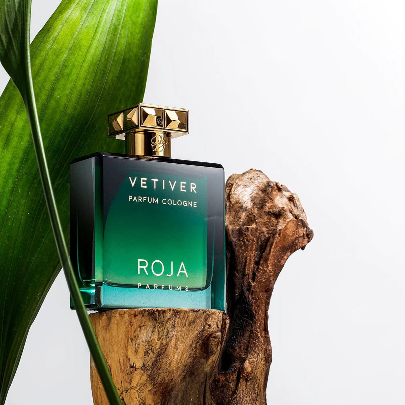 Roja Parfums Vetiver Pour Homme Parfum Cologne | My Perfume Shop