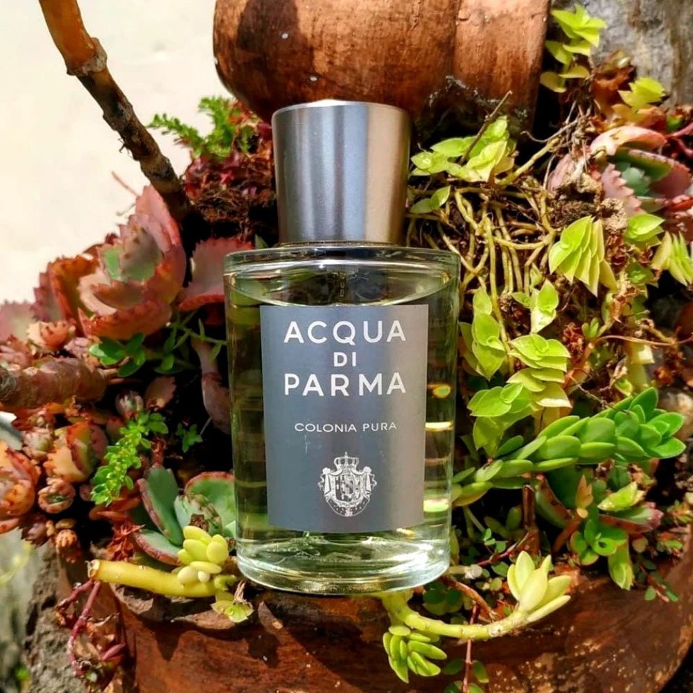 Acqua Di Parma Colonia Pura Travel Set | My Perfume Shop