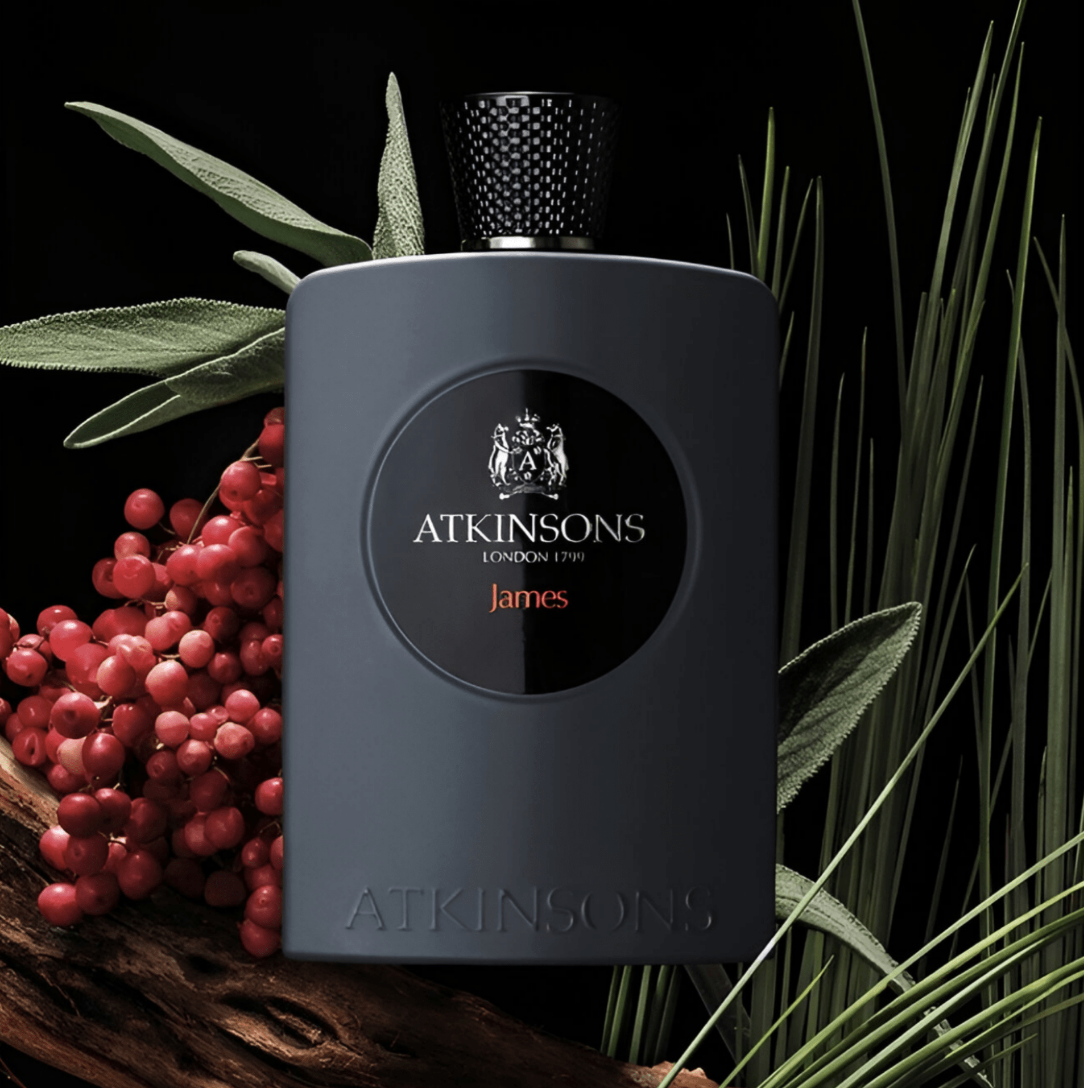 Atkinsons James EDP | My Perfume Shop