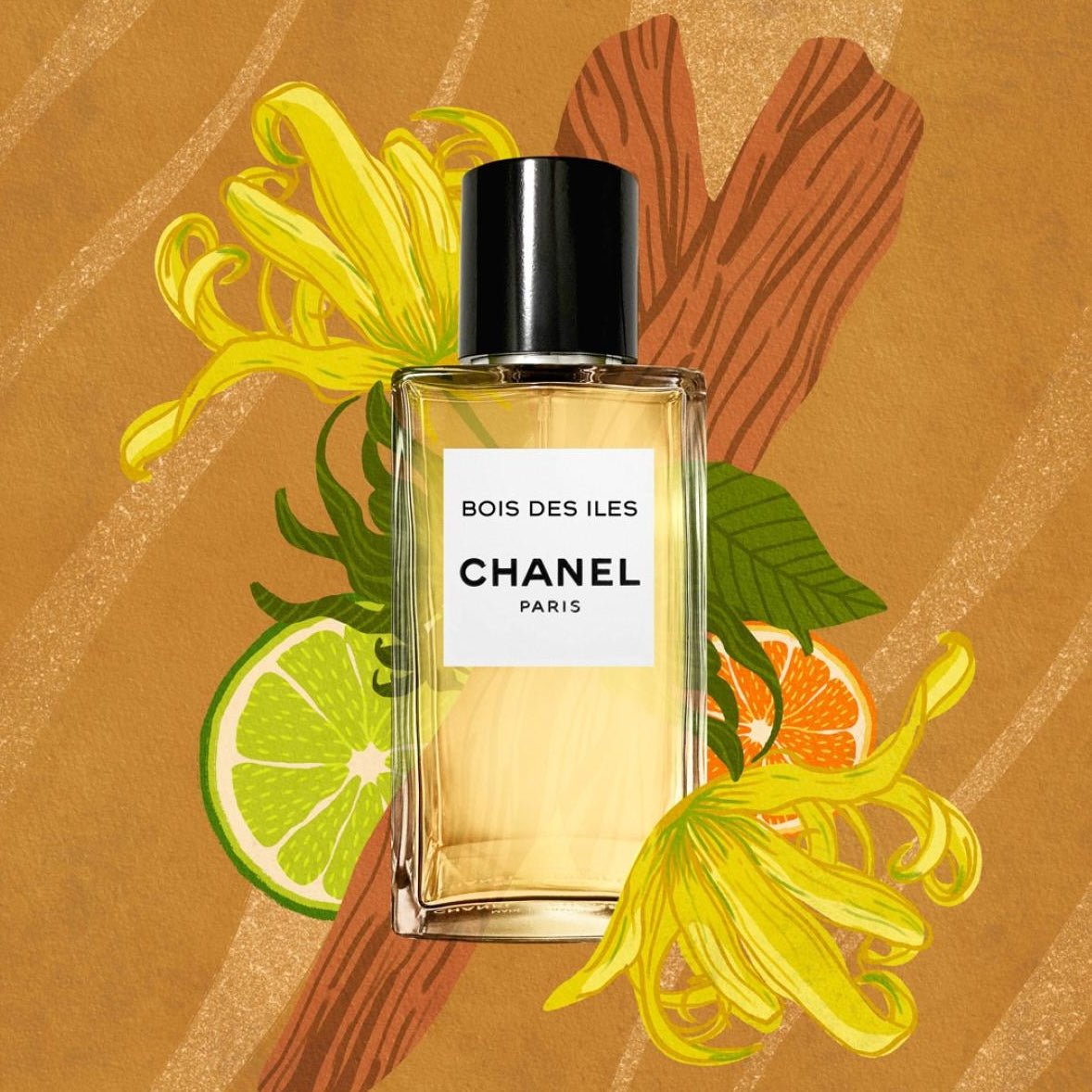 Chanel Bois Des Iles EDP | My Perfume Shop