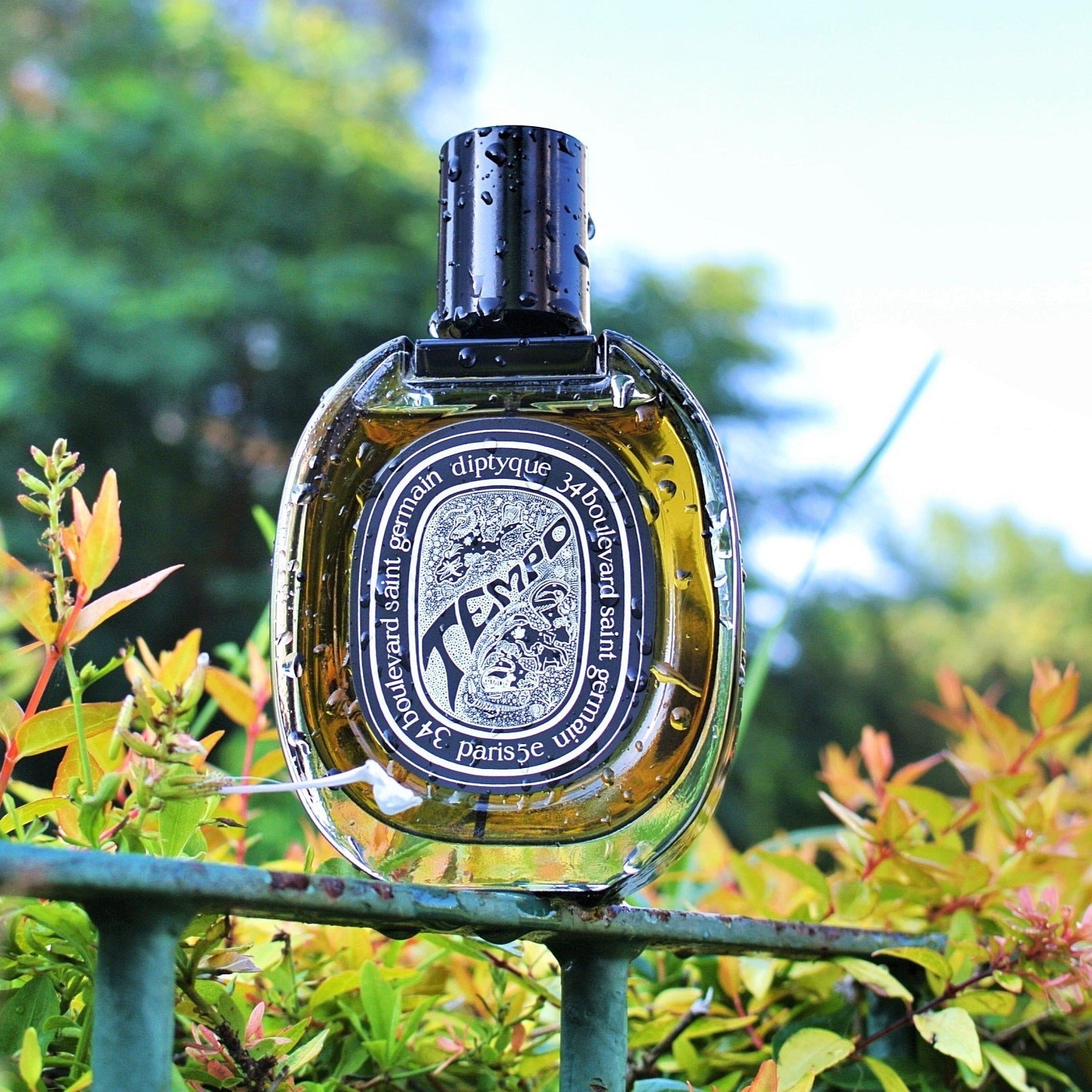 Diptyque Tempo EDP | My Perfume Shop