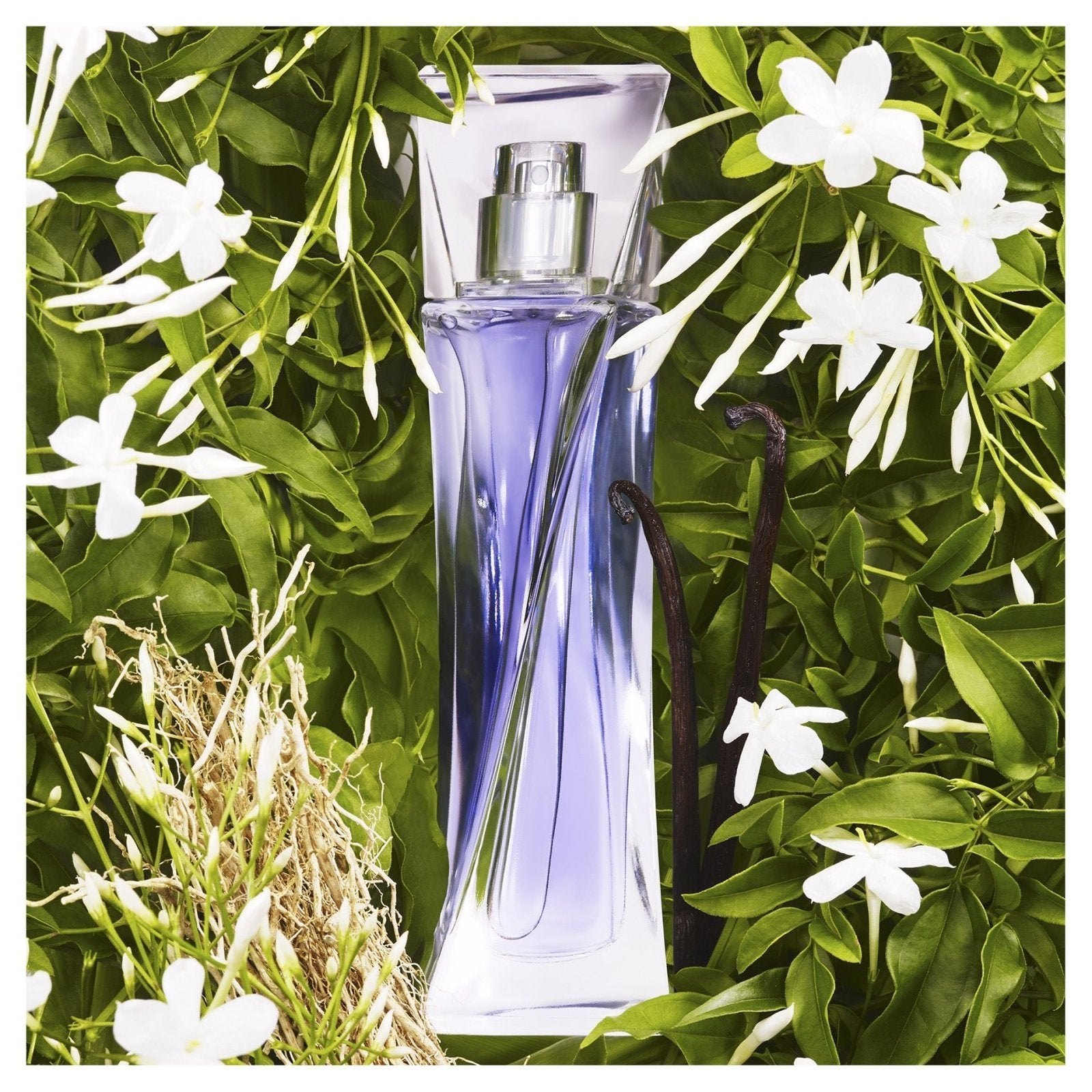 Lancome Hypnose EDP | My Perfume Shop