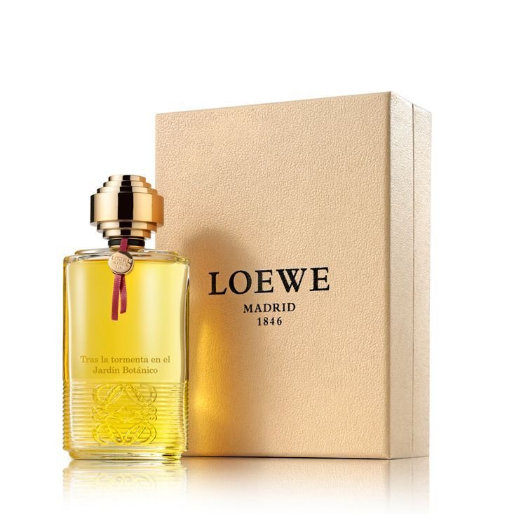 Loewe Tras La Tormenta Jardin Botanico Jardin Botanico EDP | My Perfume Shop