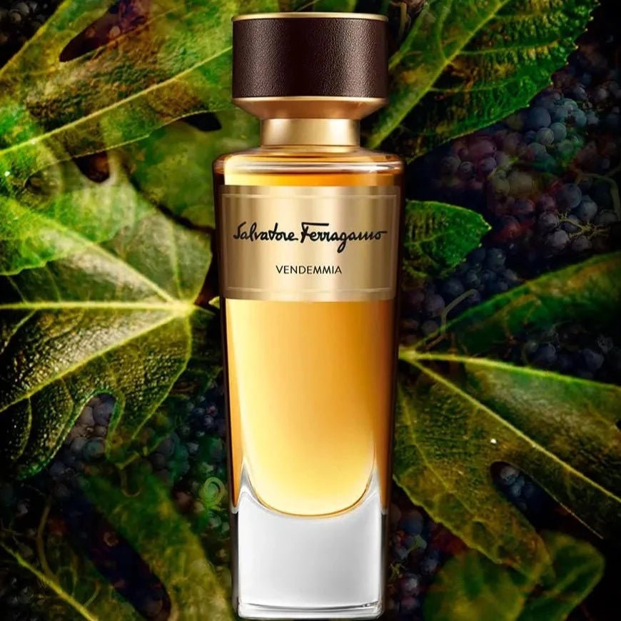 Salvatore Ferragamo Vendemmia EDP | My Perfume Shop