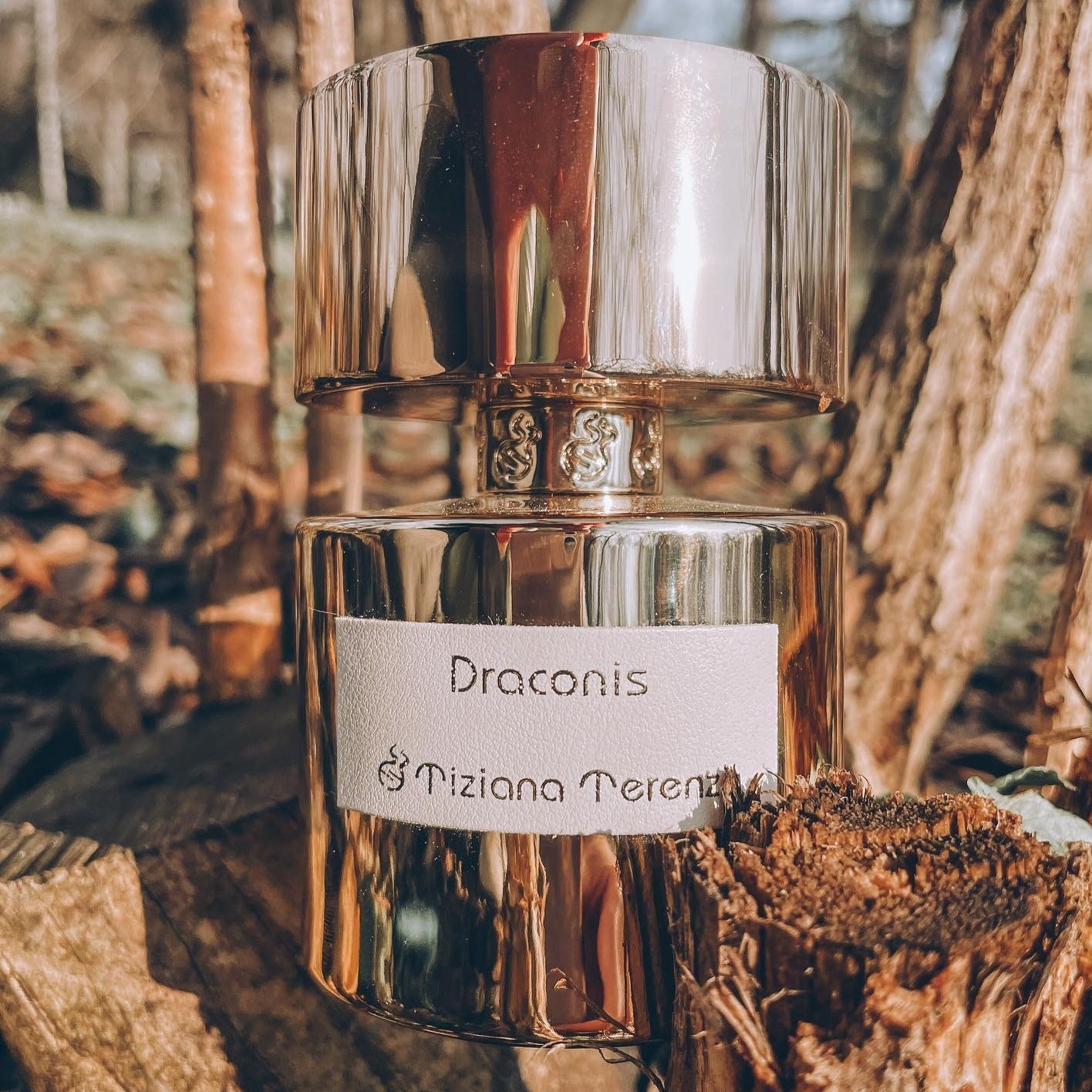 Tiziana Terenzi Luna Star Collection Draconis Extrait De Parfum | My Perfume Shop